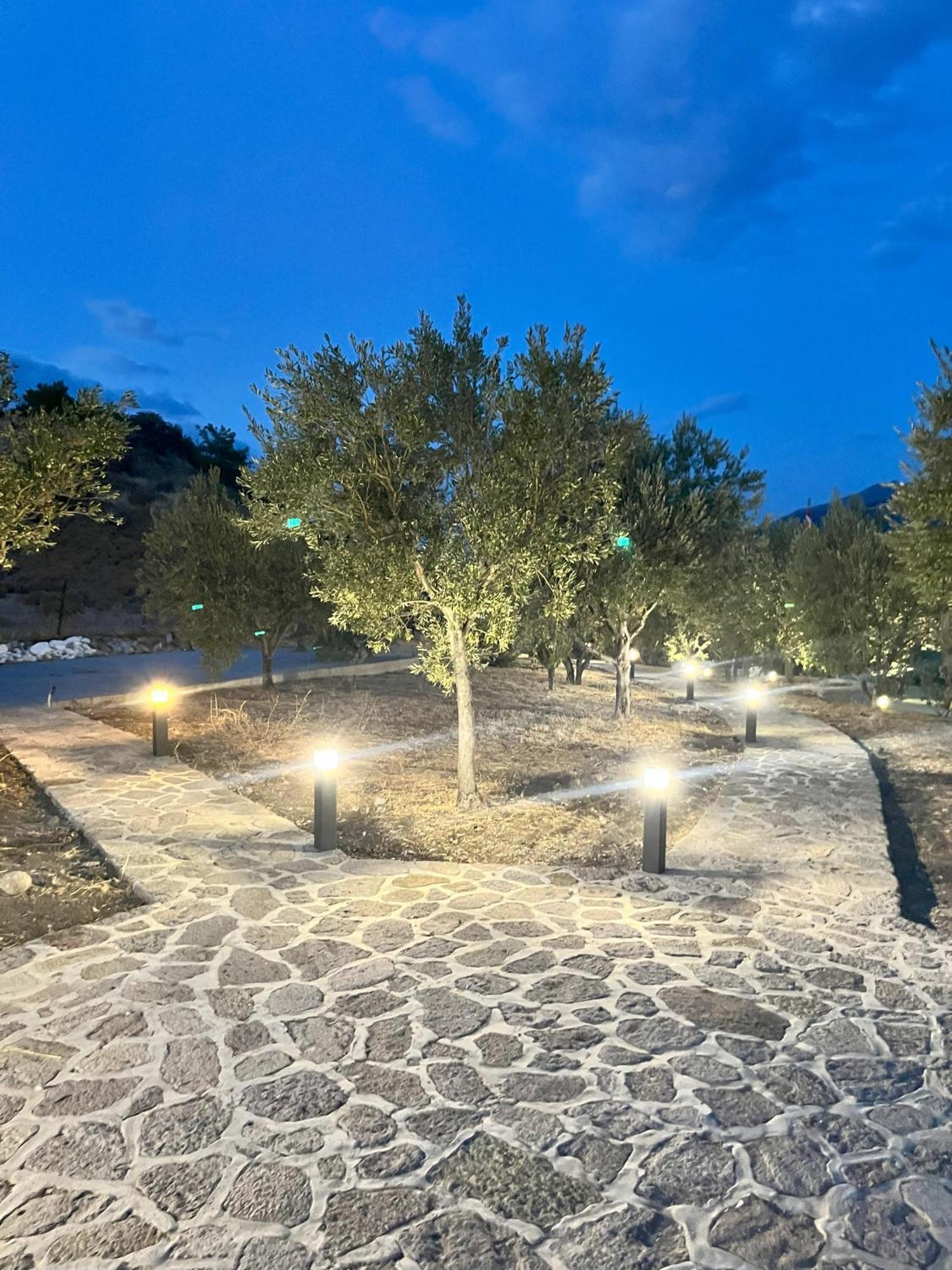 פטרה Hotel Defkalion מראה חיצוני תמונה