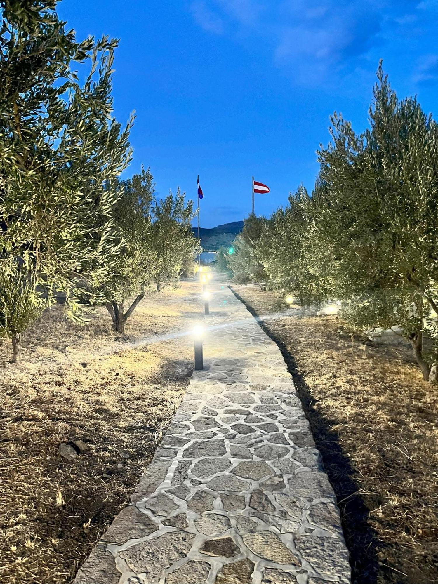 פטרה Hotel Defkalion מראה חיצוני תמונה